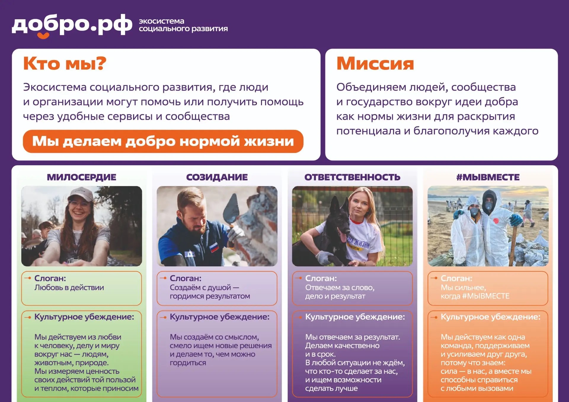 Волонтерство в колледже